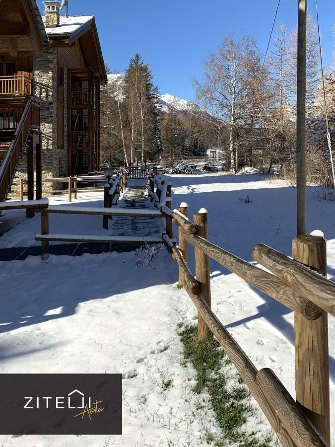 Villa Zitelli Aosta à Cogne Extérieur photo