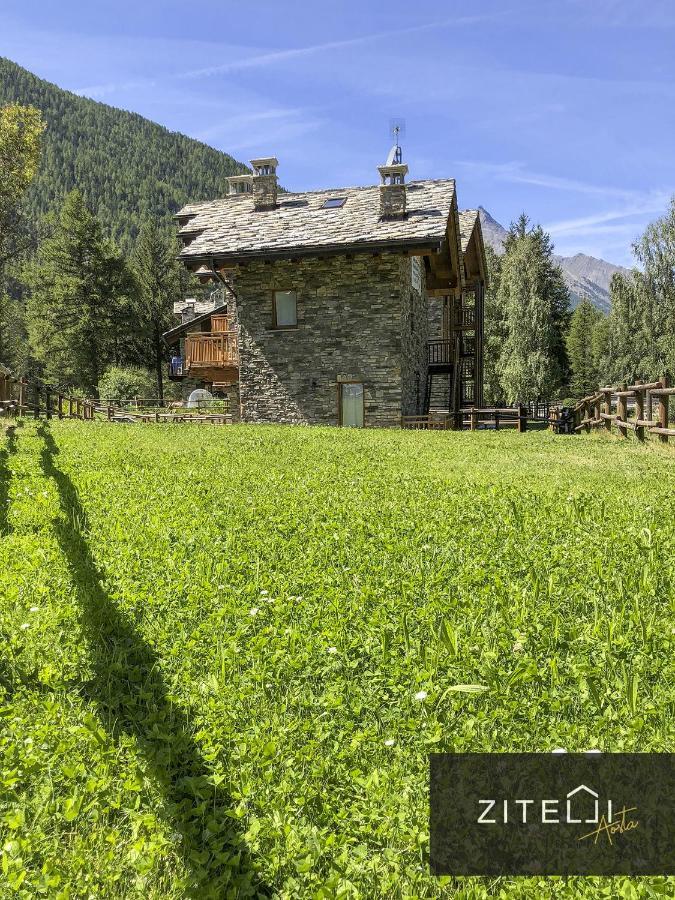 Villa Zitelli Aosta à Cogne Extérieur photo